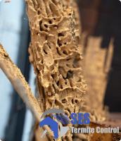 SES Termite Inspections Melbourne image 4